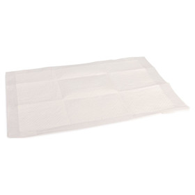 Abbildung Beeztees Trainings Pads fr Hundetoilette fr Welpen
