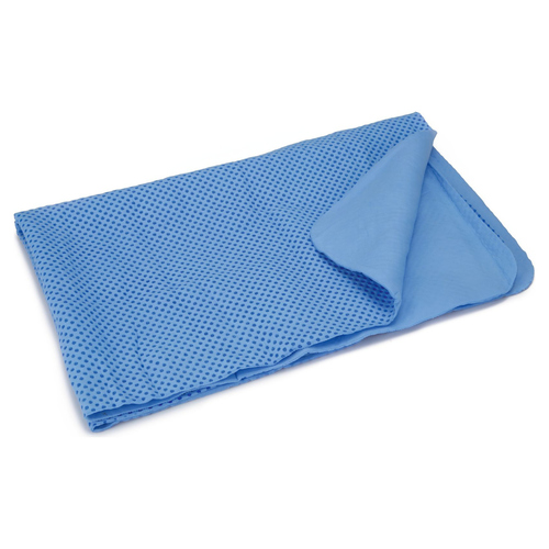 Beeztees Trockentuch blau