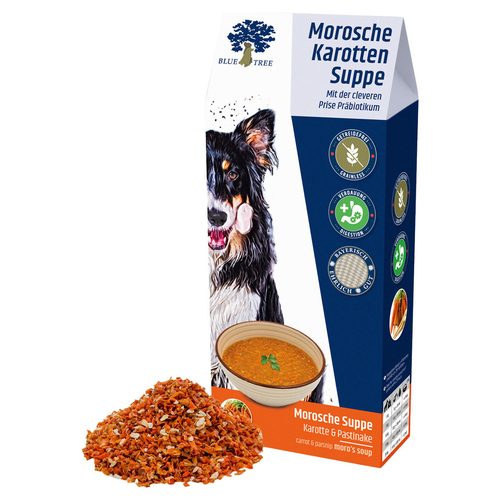 Blue Tree Morosche Karottensuppe 400 g - 6 Stück