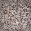 Bunny Nature Bedding Cotton 20 l (2 kg) Abbildung 3