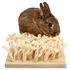 Bunny Nature by puppijames Schnüffelbrett Abbildung 3