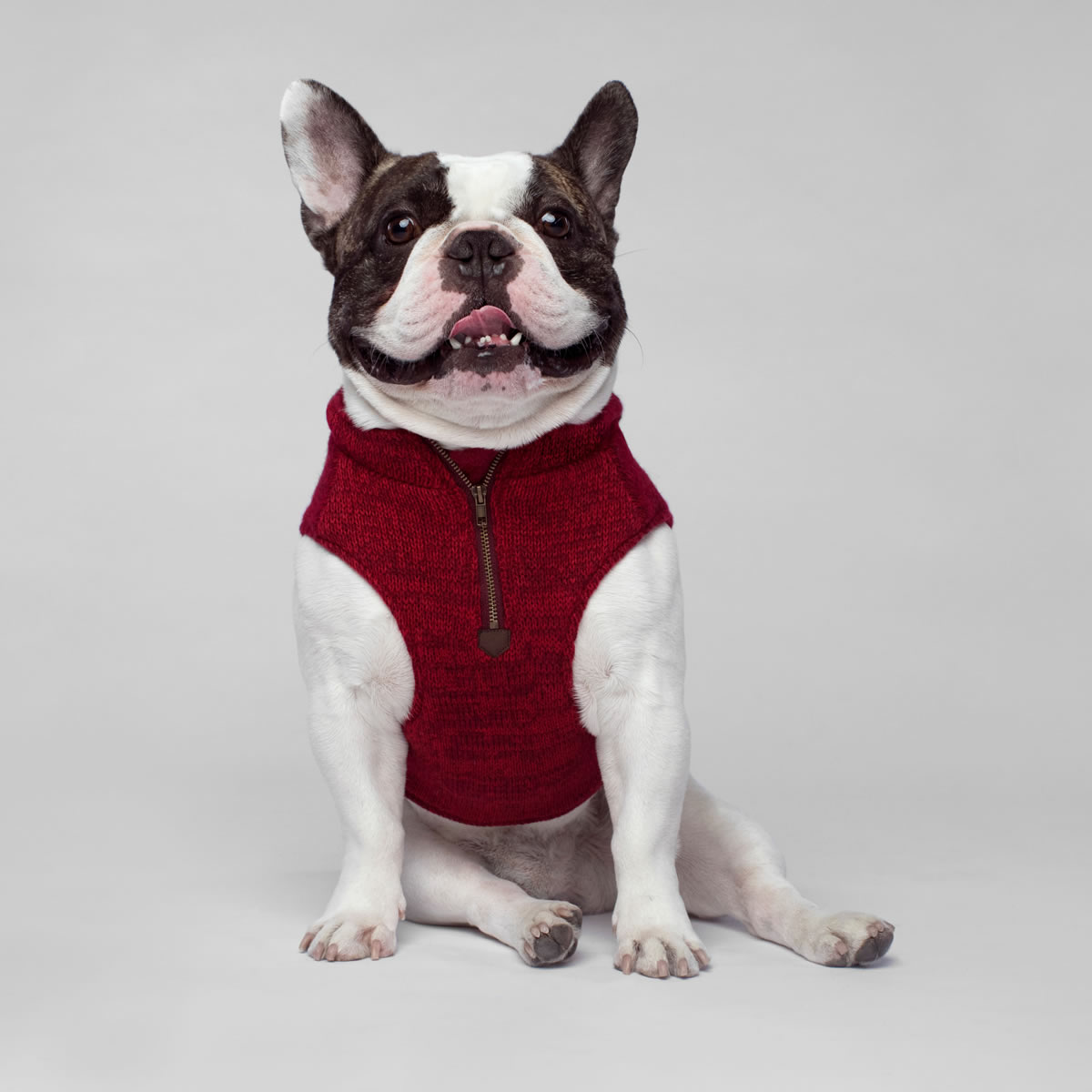 Canada Pooch Hundepullover Northern Knit Sweater Maroon