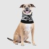 Canada Pooch Hundeschal Northern Knit Snood Black Camo Abbildung 3