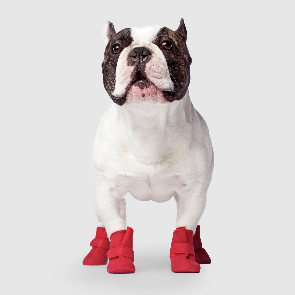 Canada Pooch Hundeschuhe Unlined Wellies Red