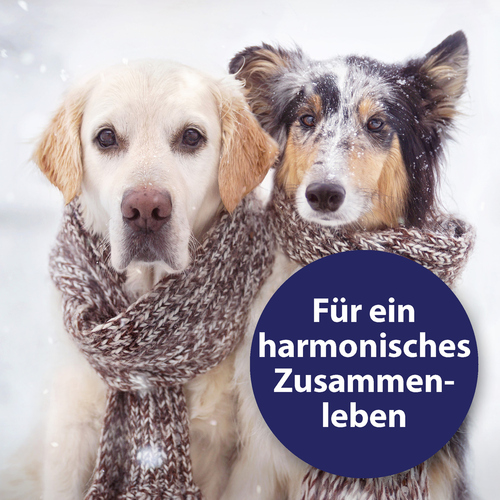 weitere Abbildung Canosept Home Comfort Beruhigungshalsband