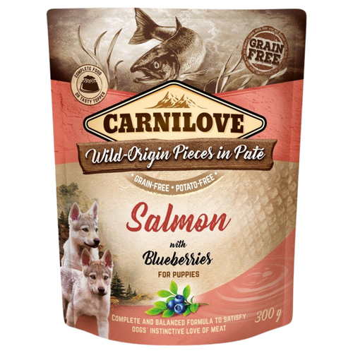 Carnilove Paté mit Puppy Lachs & Blaubeeren 300 g