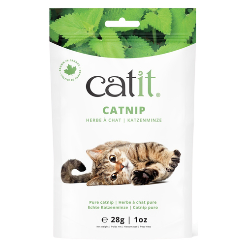 weitere Abbildung Catit Katzenminze