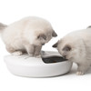 Catit Pixi Smart 6-Meal Futterautomat Abbildung 3