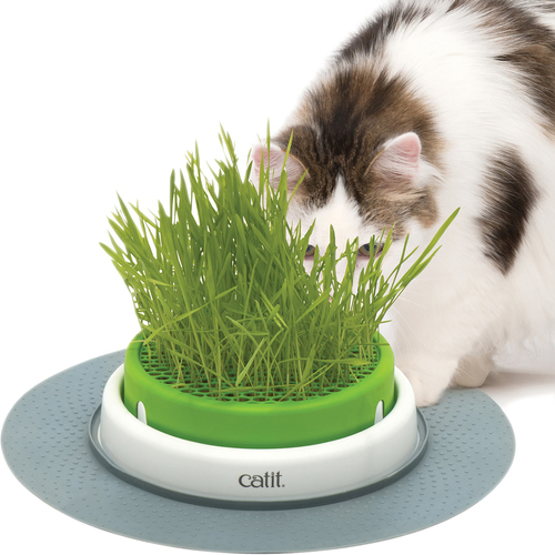 weitere Abbildung Catit Senses 2.0 Gras-Topf