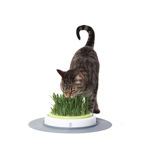 weitere Abbildung Catit Senses Gras Garten Set