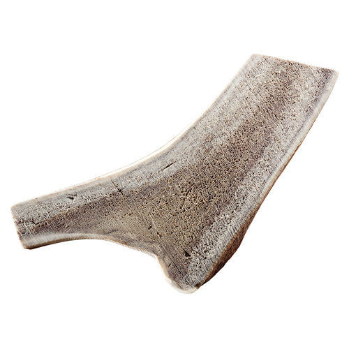 Chewies Rothirsch-Geweihstange XL - halbiert