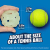 Chuckit! Air Glow Fetch Ball Abbildung 3