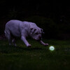 Chuckit! Air Glow Fetch Ball Abbildung 5
