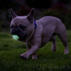 Chuckit! Air Glow Fetch Ball 2er Pack Abbildung 4