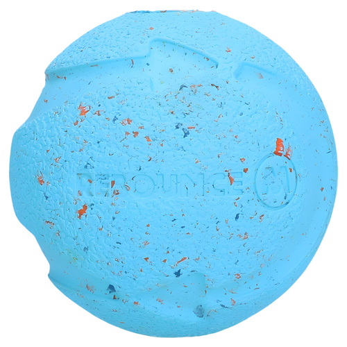 Chuckit! Hundespielzeug Rebounce Fetch Ball