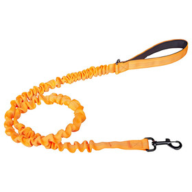 Abbildung Companion Hundeleine elastisch orange