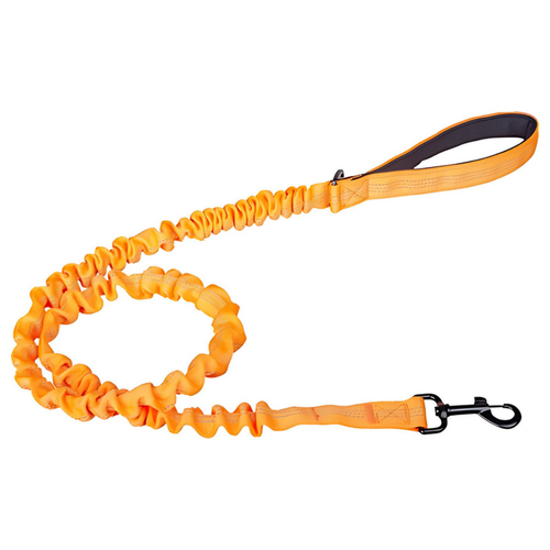 Companion Hundeleine elastisch orange