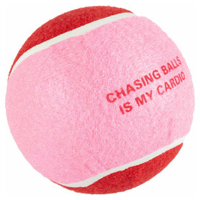 Abbildung Coockoo Hundespielzeug Tennisball Chase Me rot/rosa