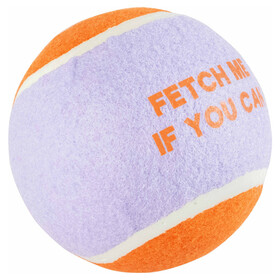 Abbildung Coockoo Hundespielzeug Tennisball Fetch Me lila/orange