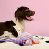 Coockoo Hundespielzeug Tennisball Fetch Me lila/orange Abbildung 4