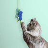 Coockoo Katzenspielzeug Bällchen Dizzy Dangle blau/grün Abbildung 3