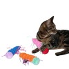 Coockoo Katzenspielzeug Razzle Ruby Abbildung 4