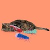 Coockoo Katzenspielzeug Razzle Ruby Abbildung 5