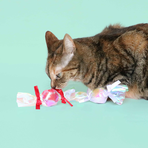weitere Abbildung Coockoo Katzenspielzeug Sweet Candy