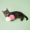 Coockoo Katzenspielzeug Tretkissen Chill Pill pink/beige Abbildung 3