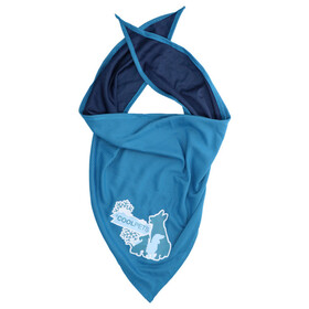 Abbildung CoolPets Khlendes Halstuch Bandana