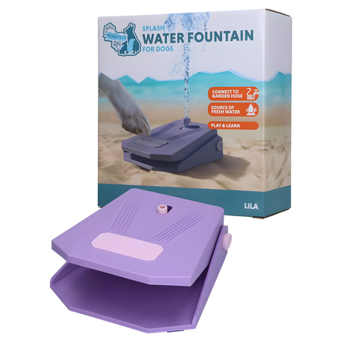 CoolPets Wasserfontäne Splash Water Fountain lila