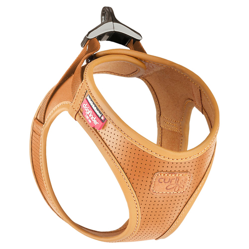 Curli Apfel Leder Geschirr braun, Größe: 2XS / Gewicht: 2-4 kg