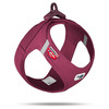 Curli Clasp Vest Geschirr Air-Mesh Special Edition 2022 Ruby Abbildung 1