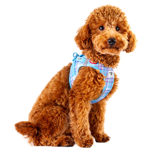 weitere Abbildung Curli Clasp Vest Geschirr Air-Mesh Special Edition Aqua-Caro