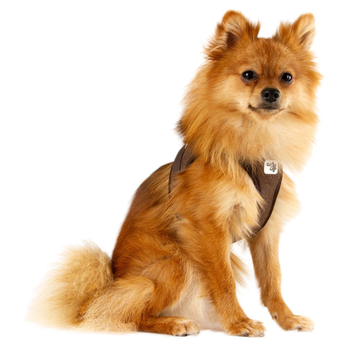 weitere Abbildung Curli Clasp Vest Geschirr Cord braun