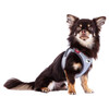 Curli Clasp Vest Geschirr Glow Reflective Gray Abbildung 3
