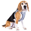 Curli Clasp Vest Geschirr Glow Reflective Gray Abbildung 4