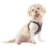 Curli Clasp Vest Geschirr Merino schwarz Abbildung 2