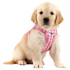 Curli Clasp Vest Geschirr Puppy Set pink-caro Abbildung 2