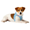Curli Clasp Vest Geschirr Puppy Set skyblue-caro Abbildung 2