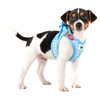 Curli Clasp Vest Geschirr Puppy Set skyblue-circles Abbildung 2