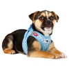 Curli Clasp Vest Geschirr Puppy Set skyblue-circles Abbildung 3
