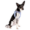 Curli Clasp Vest Geschirr Special Edition 2024 Elemental-Blue Abbildung 2