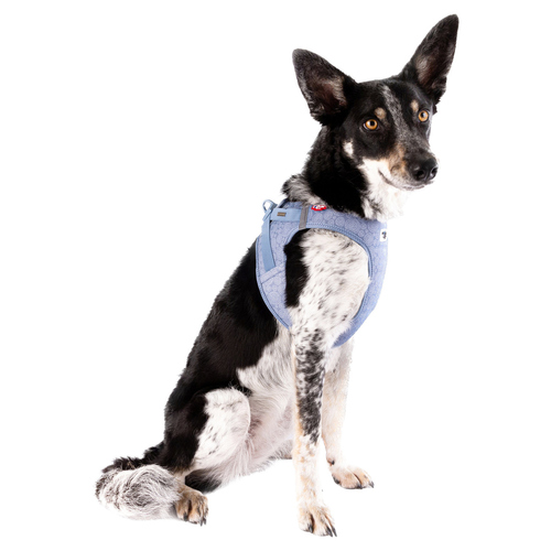 weitere Abbildung Curli Clasp Vest Geschirr Special Edition 2024 Elemental-Blue
