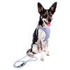 Curli Clasp Vest Geschirr Special Edition 2024 Elemental-Blue Abbildung 3