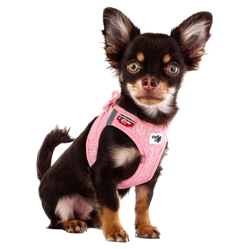 weitere Abbildung Curli Clasp Vest Geschirr Special Edition 2024 Fondant-Pink