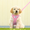 Curli Vest Geschirr Puppy Set pink-caro Abbildung 2