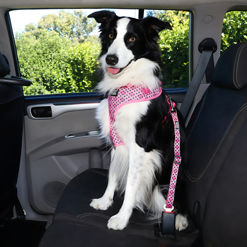 weitere Abbildung DOOG Auto-Sicherheitsgurt Car Restraint Toto pink/schwarze Sterne