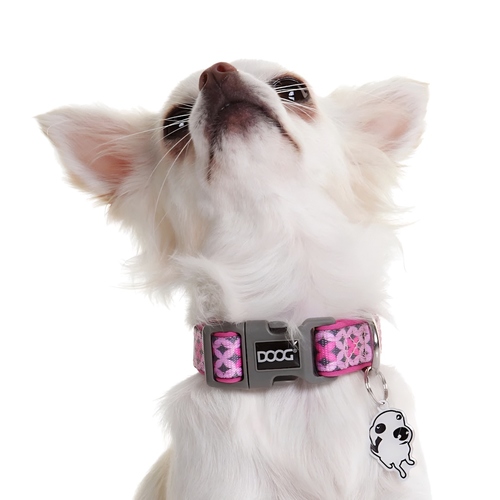 weitere Abbildung DOOG Halsband Toto pink/schwarze Sterne