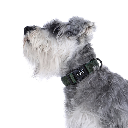 weitere Abbildung DOOG Neosport Halsband grn